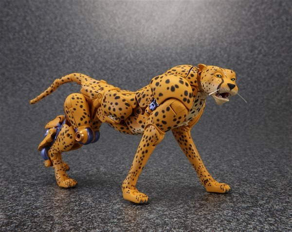MP 34 Masterpiece Cheetor Release Delayed Plus Stock Photo Updates 03 (3 of 13)